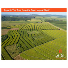 Load image into Gallery viewer, Organic Tea Tree Essential Oil (Melaleuca Alternifolia) 10ml