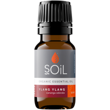 Load image into Gallery viewer, Organic Ylang Ylang Essential Oil (Cananga Odorata) 10ml