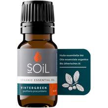 Load image into Gallery viewer, Organic Wintergreen Essential Oil (Gaulteria Procumbens) 10ml