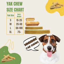 Load image into Gallery viewer, Long-Lasting Gold Yak Chews for Large Dogs
