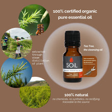 Load image into Gallery viewer, Organic Tea Tree Essential Oil (Melaleuca Alternifolia) 10ml