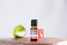 Load image into Gallery viewer, Organic Bergamot Essential Oil (Citrus Bergamia) 10ml