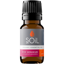 Load image into Gallery viewer, Organic Rose Geranium Essential Oil (Pelargoneum Graveolens) 10ml
