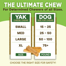 Load image into Gallery viewer, Gold Yak Chews for Small Dogs (4 - 75 sticks)
