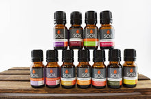 Load image into Gallery viewer, Bug Away - Organic Essential Oil Blend 10ml
