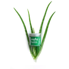 Load image into Gallery viewer, Mata Massage and Skin Healing Balm, Herbal Muscle Rub
