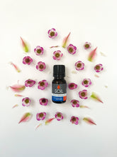 Load image into Gallery viewer, Organic Peppermint Essential Oil (Mentha Piperita) 10ml
